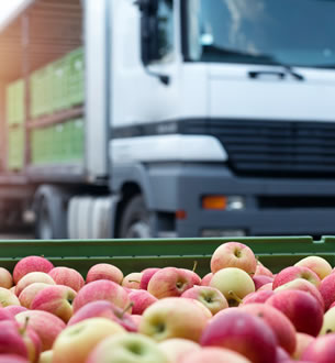 Alimentação