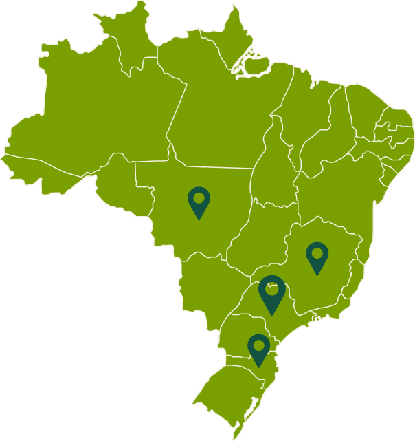 Matriz e Filiais Matriz e Filiais
